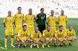 Swedish national football team 2006