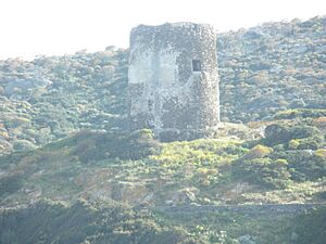 Torre Cala d'Oliva Asinara