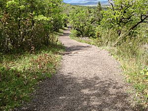 Upper Table Rock Trail