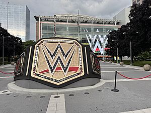 WWE HQ Entrance