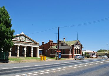 Wyalong Newell Highway Mid-Western Highway.JPG