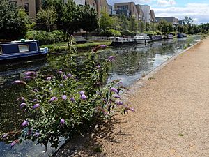 Yiewsley Grand Union Canal 1.jpg