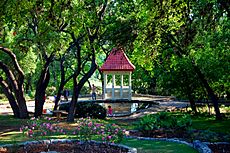 ZilkerPark-2008-04-05-c