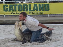 022306-gatorland05