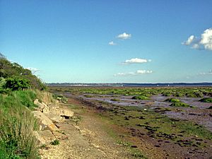 20050515 129 solent