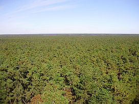 2009-11-04 20-View north from the top of the Apple Pie Hill fire tower.jpg