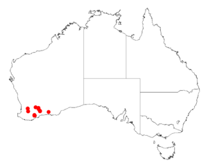 Acacia loxophyllaDistMap557.png