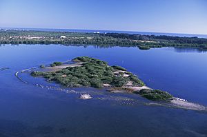 Aerial of Pelican Island National Willdife Refuge