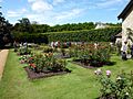 Anglesey Abbey Rose Garden