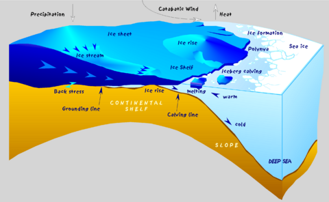 Antarctic shelf ice hg