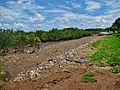 Arrière-mangrove de Majicavo janvier 2017