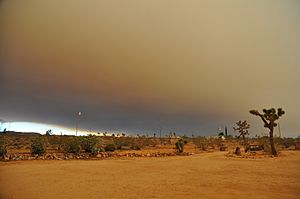 Barton Flats fire