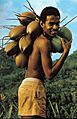 Boy with coconuts Seychelles