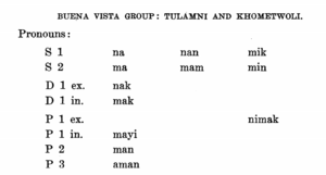 Buena Vista pronouns