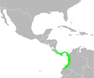 Bufo coniferus distribution.svg