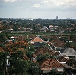 COLLECTIE TROPENMUSEUM Gezicht over de wijk Menteng TMnr 20018008