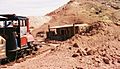 Calico train