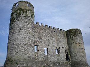 Carlow Castle