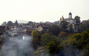 Château d'Aubonne