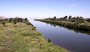 Confluence-Walla-Walla-and-Columbia.JPG