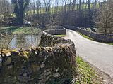 Conksbury Medieval Bridge