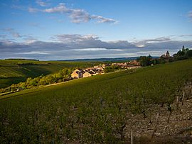 Overlooking Courgis