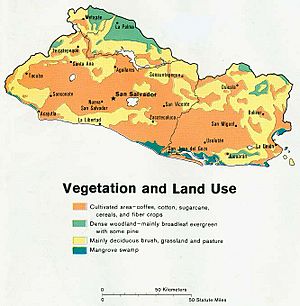 El salvador land 1980