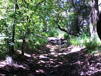 Field River - panoramio.jpg