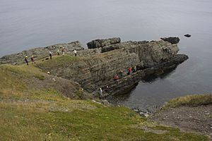 Fortune Head GSSP, Newfoundland