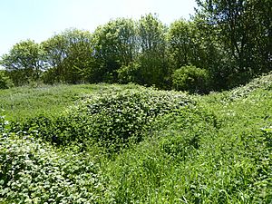 Gedgrave Hall Pit 3.jpg