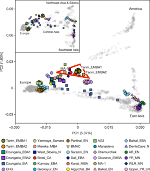 Genetic structure of ancient and present-day populations (Tarim-MA1 proximity)