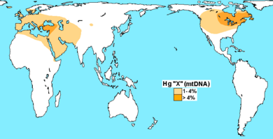 Haplogroup X (mtDNA)