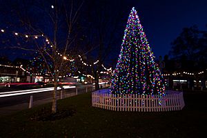 Harpenden at christmas