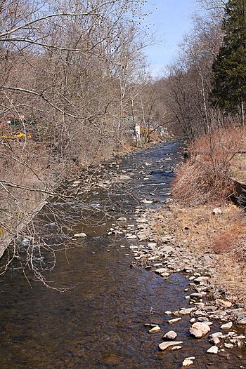 Harveys Creek looking upstream 1.JPG