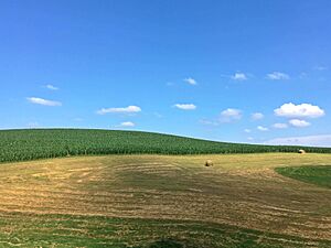 Jewett County Farmland