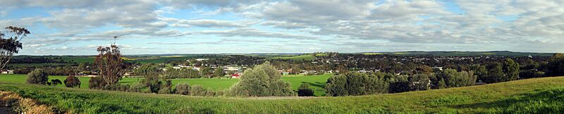 Kapunda