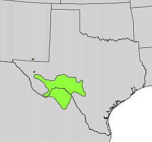 Leucaena retusa range map.jpg