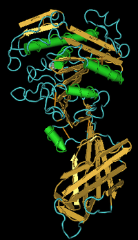 Lipase PLRP2