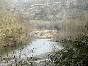 Llobregat 4