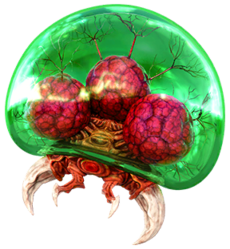 Metroid (species)