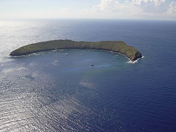 Molokini Aerial.jpg