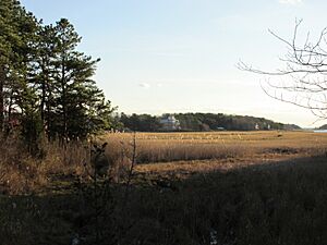 Monomoscoy Island, Mashpee MA