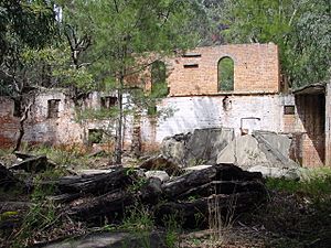 Newnes ruins 0