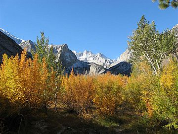 Norman Clyde Peak's northeast face, seen from Big Pine Creek near Glacier Lodge.jpg