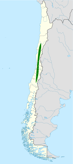 Ochetorhynchus melanurus map.svg