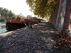 Péniches à Toulouse 1