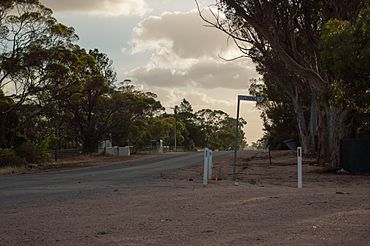 Pinery South Australia.jpg