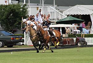 Polo at Ham Polo Club