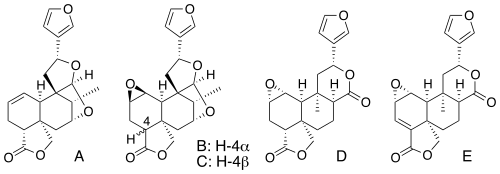 Polystachynes A-E