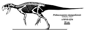 Psittacosaurus